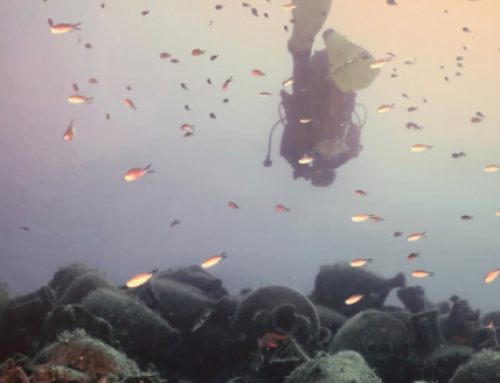 Dive in history-Unterwassertourismus als Zukunftstrend